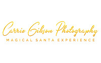 Carrie Gibson Photography HR BRIGHT GOLD